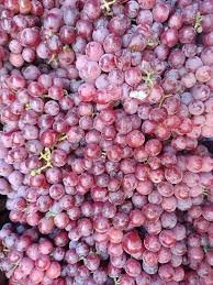 عنب أحمر
