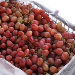 عنب احمر كرمسون