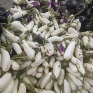 بذنجان ابيض