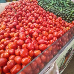 طماطم طماطم