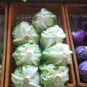 كابوتشى اخضر