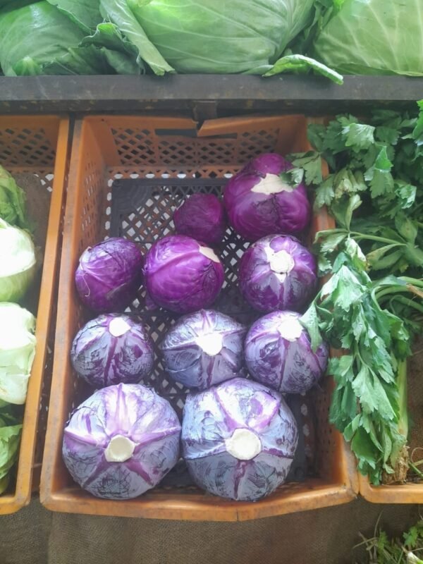 كابتشى احمر