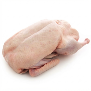 بط